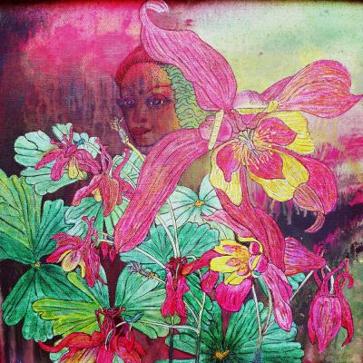 gertrud_poellmann_akaleienfee