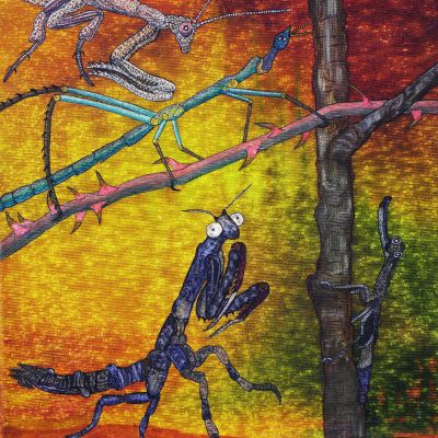 gertrud_poellmann_astmantis