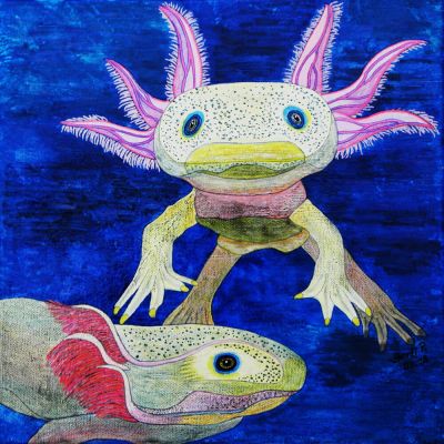 gertrud_poellmann_axolotl