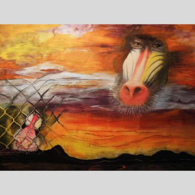 gertrud_poellmann_befreiung