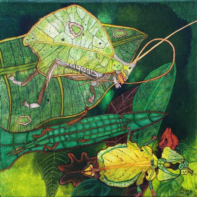 gertrud_poellmann_blattschrecken