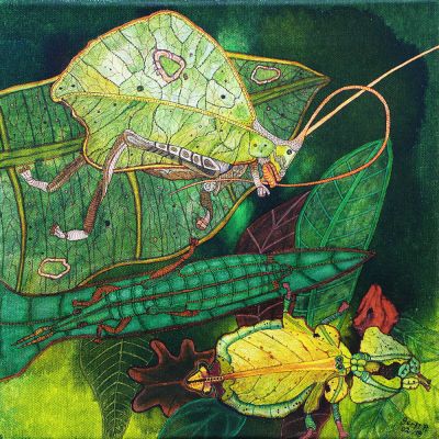 gertrud_poellmann_blattschrecken