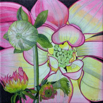 gertrud_poellmann_dahlien