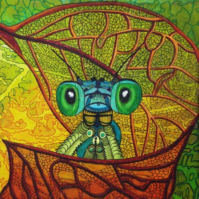 gertrud_poellmann_damselfly