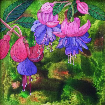 gertrud_poellmann_fuchsie