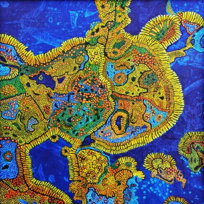 gertrud_poellmann_gelbsteinflechte