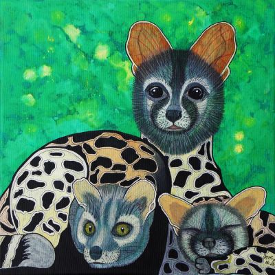 gertrud_poellmann_ginsterkatze