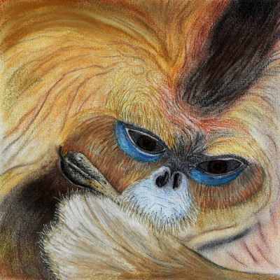 gertrud_poellmann_goldenmonkey