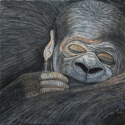 gertrud_poellmann_gorillababy