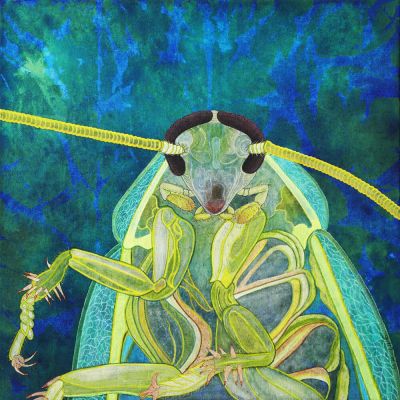 gertrud_poellmann_grueneschabe
