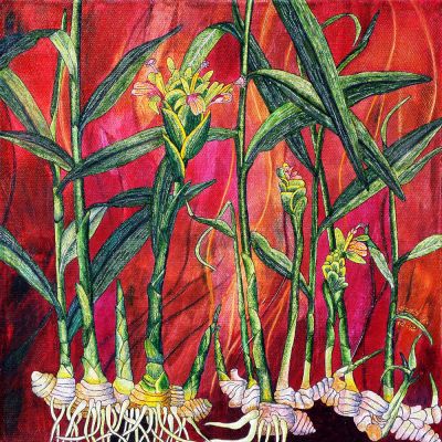 gertrud_poellmann_ingwer