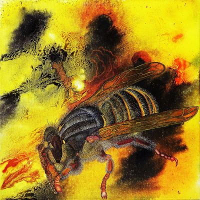 gertrud_poellmann_insekten