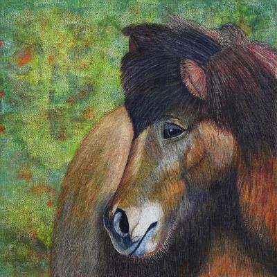 gertrud_poellmann_islandpferd