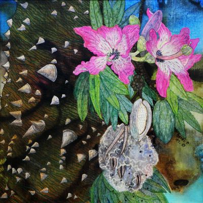 gertrud_poellmann_kapokbaum