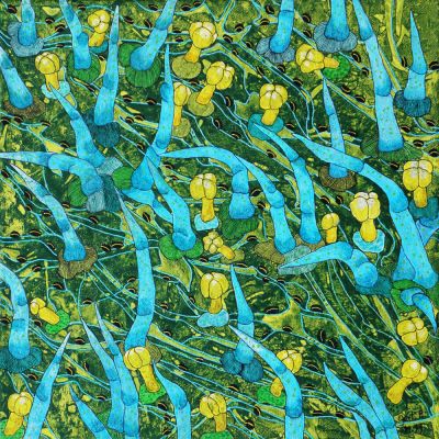 gertrud_poellmann_kartoffelblatt