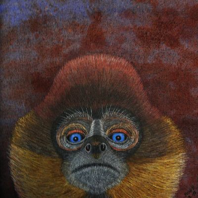 gertrud_poellmann_klammeraffe