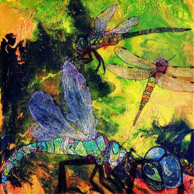gertrud_poellmann_libellenstudie