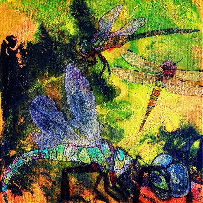 gertrud_poellmann_libellenstudie