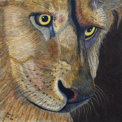 gertrud_poellmann_augenblicke