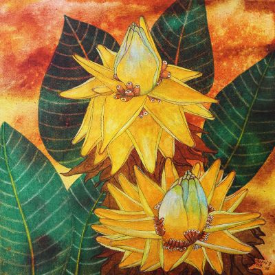 gertrud_poellmann_lotusbanane