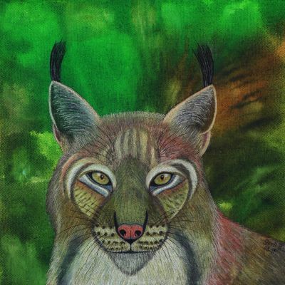gertrud_poellmann_luchs