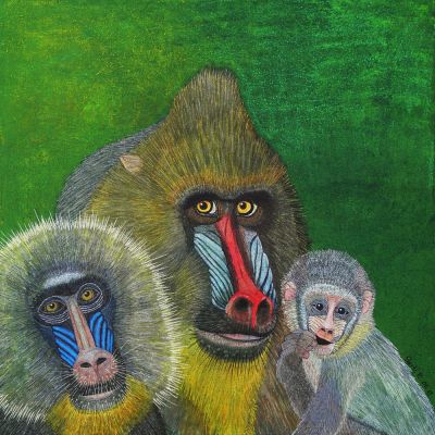 gertrud_poellmann_mandrill