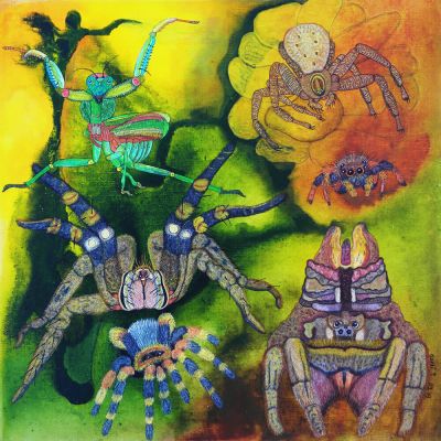 gertrud_poellmann_mantis