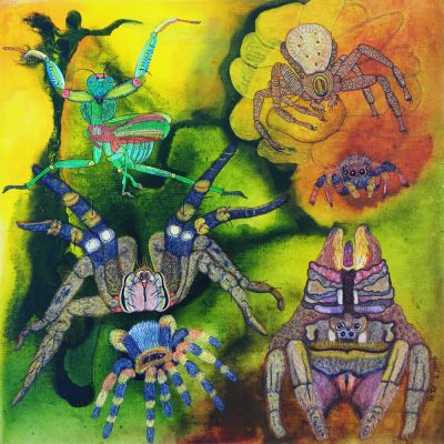 gertrud_poellmann_mantis
