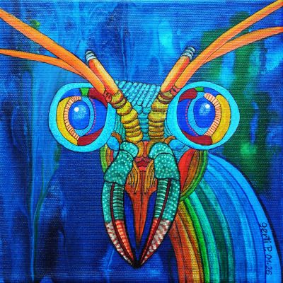 gertrud_poellmann_mantisschrimps