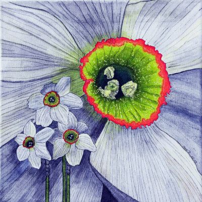 gertrud_poellmann_narzisse