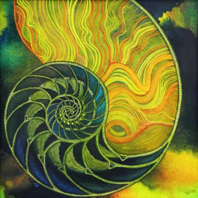 gertrud_poellmann_nautilus