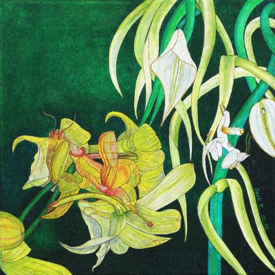 gertrud_poellmann_orchideenmantis