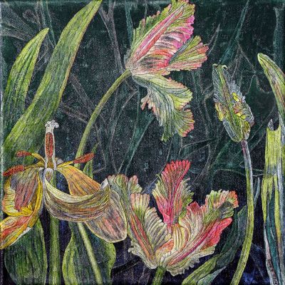 gertrud_poellmann_papageientulpen