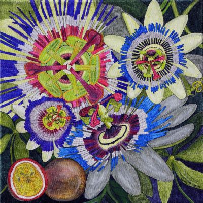 gertrud_poellmann_passionsblume
