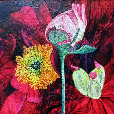 gertrud_poellmann_pfingstrose