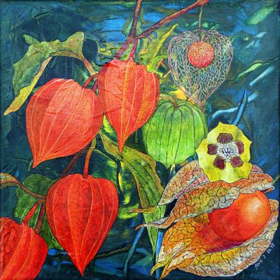 gertrud_poellmann_physalis