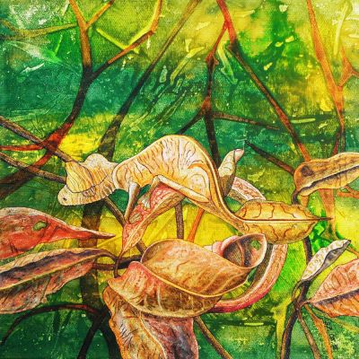 gertrud_poellmann_plattschwanzgecko