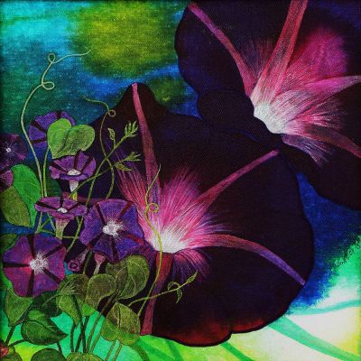 gertrud_poellmann_prunkwinde