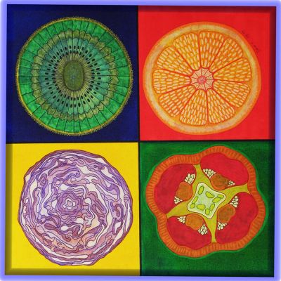 gertrud_poellmann_querschnitte