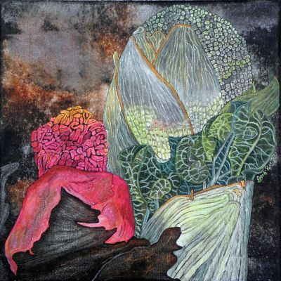 gertrud_poellmann_rhabarberaustrieb