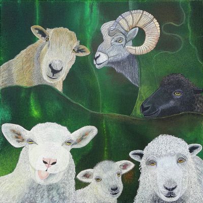 gertrud_poellmann_schafe