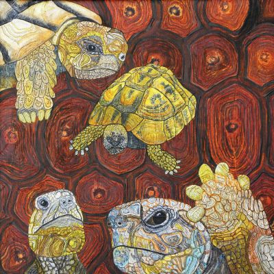 gertrud_poellmann_schildkroeten