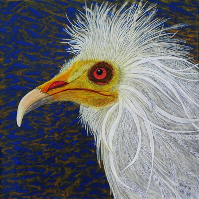 gertrud_poellmann_schmutzgeier