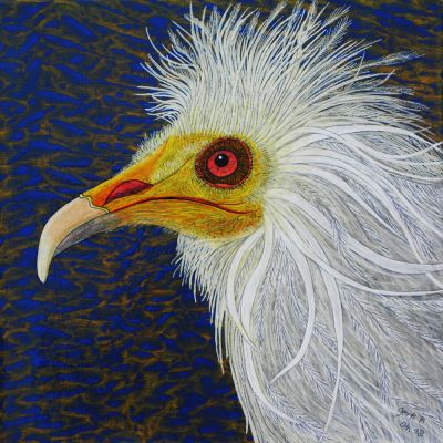 gertrud_poellmann_schmutzgeier