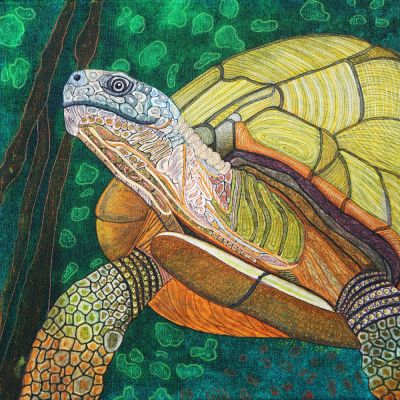 gertrud_poellmann_schnabelbrustschildkroete