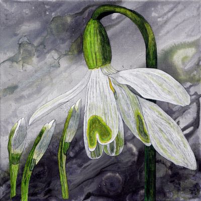 gertrud_poellmann_schneegloeckchen
