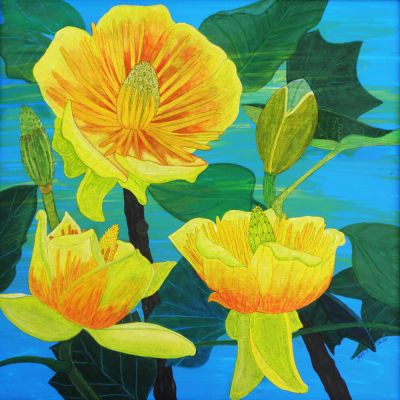 gertrud_poellmann_tulpenbaumbluete