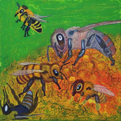 gertrud_poellmann_wildbienen