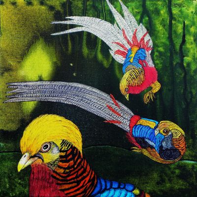 gertrud_poellmann_goldfasan