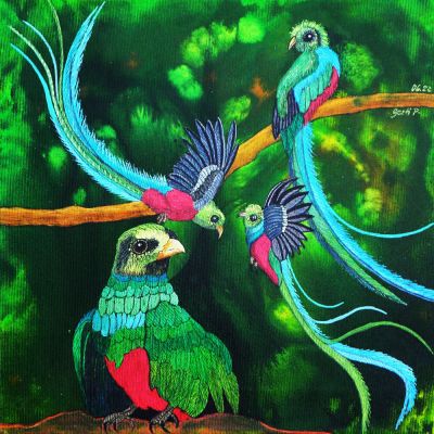 gertrud_poellmann_quetzal